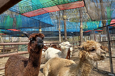 照片画廊图像|那须高原美爵温泉度假酒店