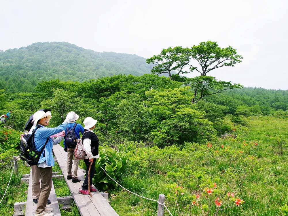 日光徒步旅行|那须高原美爵温泉度假酒店