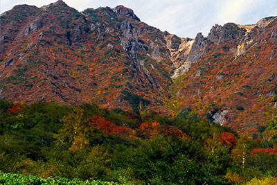 SIGHTSEEING・ACTIVITIES & Activity Top | Grand Mercure Nasu Highlands Resort & Spa