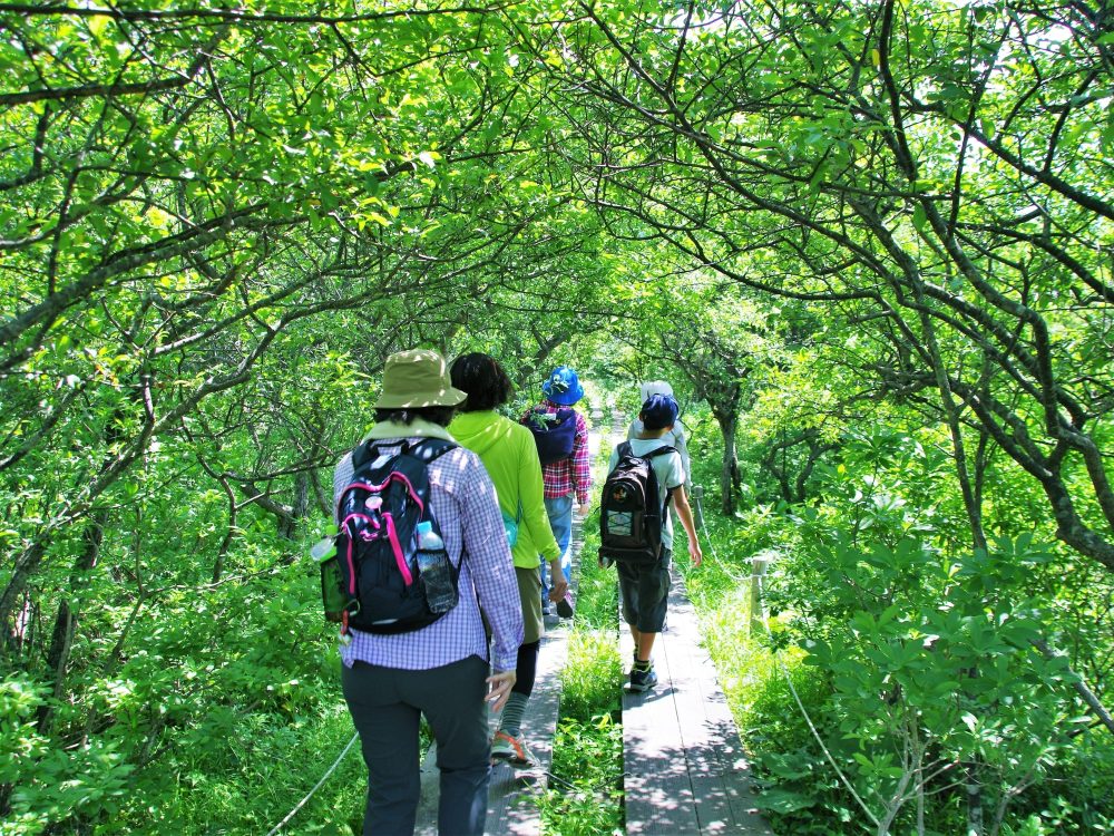 Itamuro Onsen Nature Tour | Grand Mercure Nasu Highlands Resort & Spa