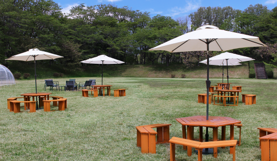 A space for relaxation and relaxation with the lawn spread was born.