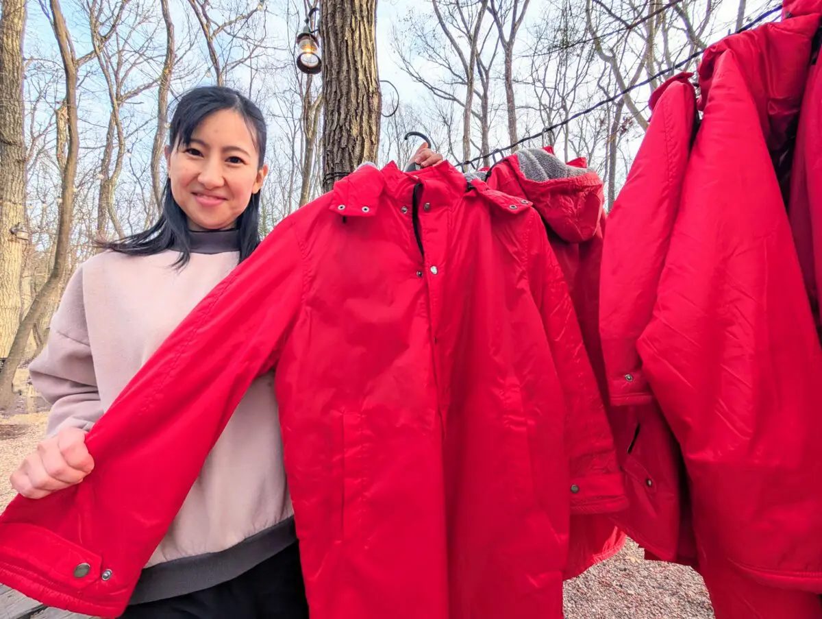 Winter gyrolide image