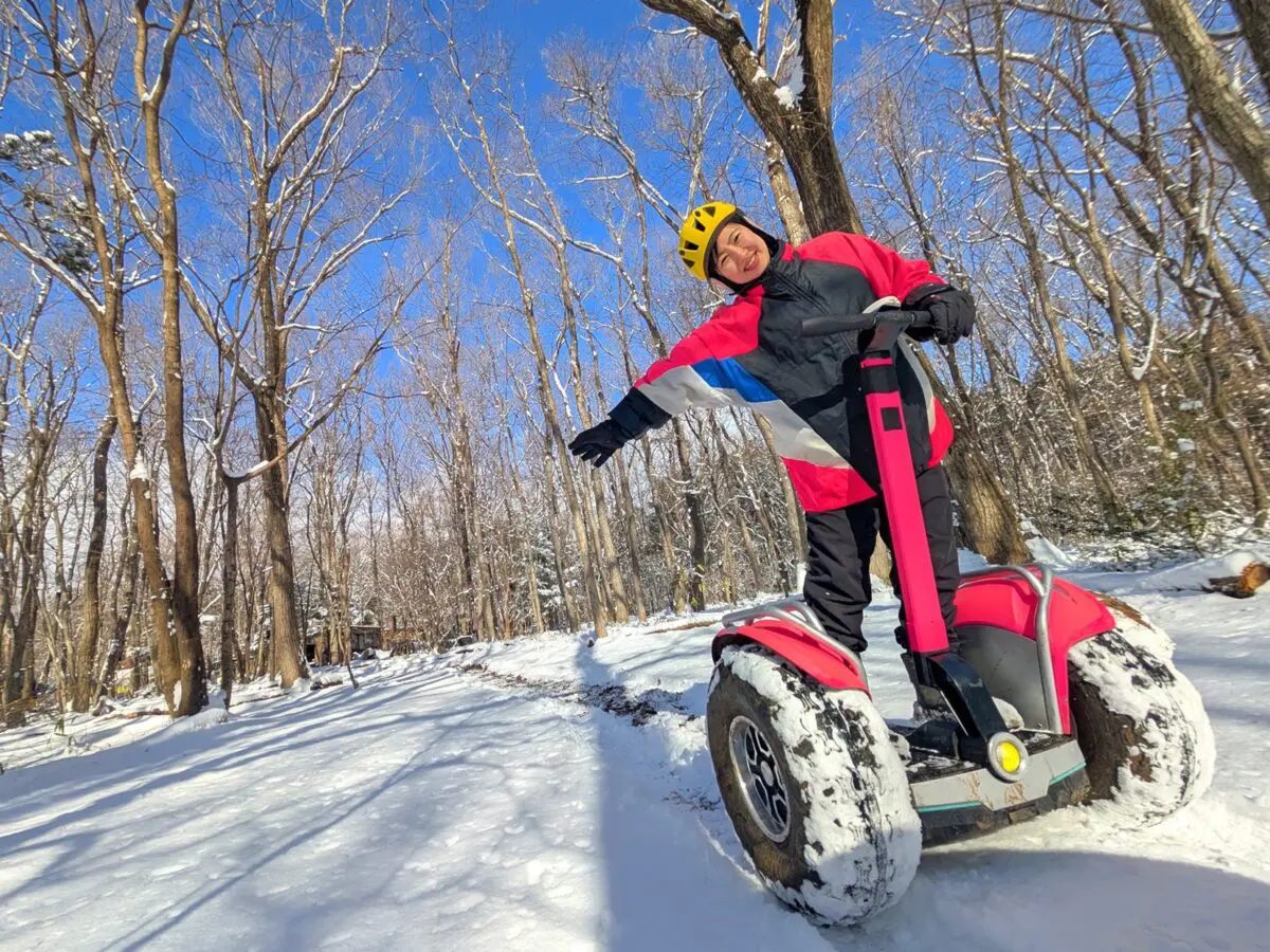Gyrolide image of a snow day
