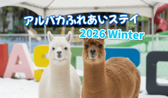 알파카의 내방 이벤트 이미지