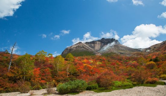 茶臼岳