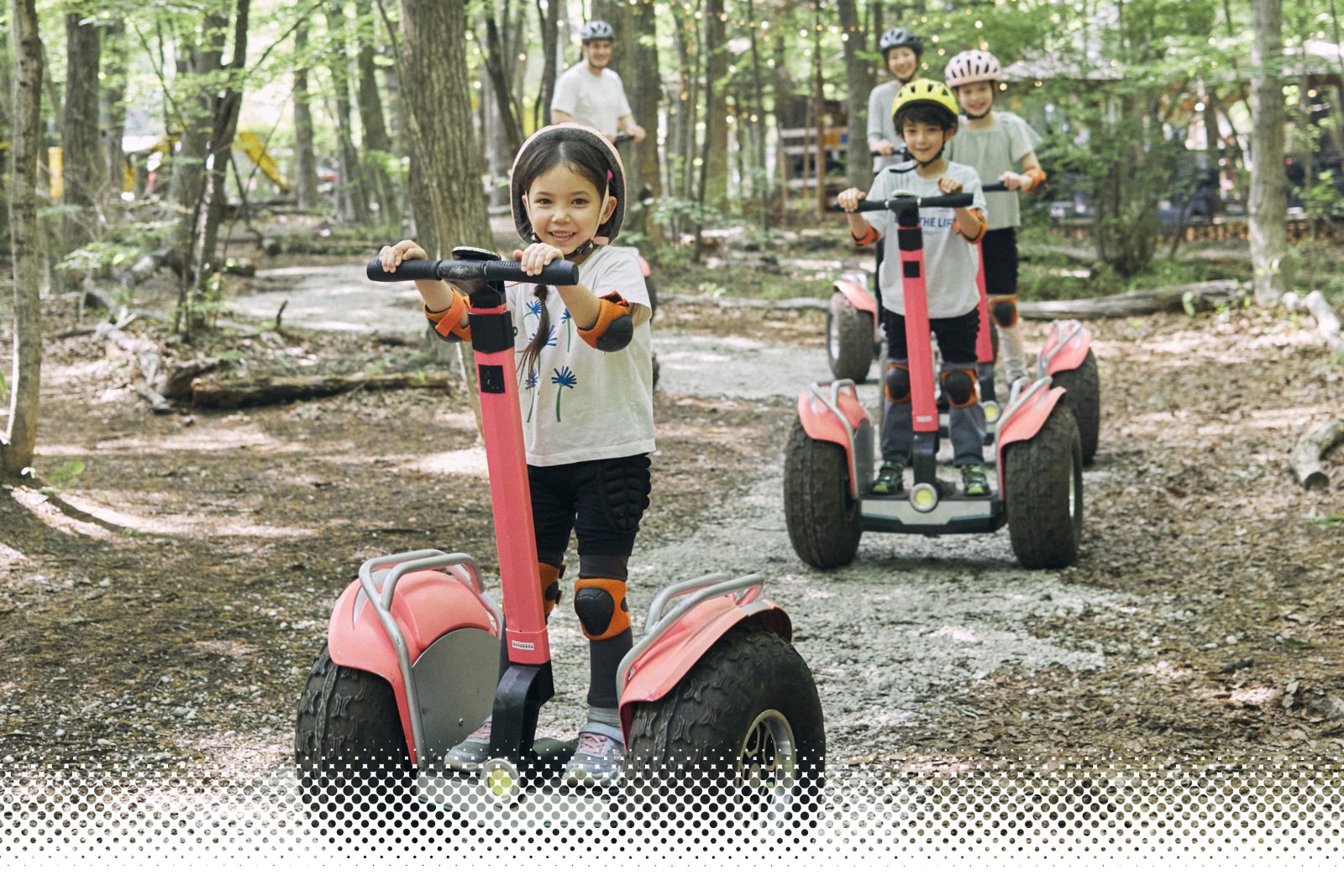 陀羅萊德的形象