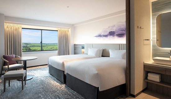 スーペリアツイン マウンテンビュー