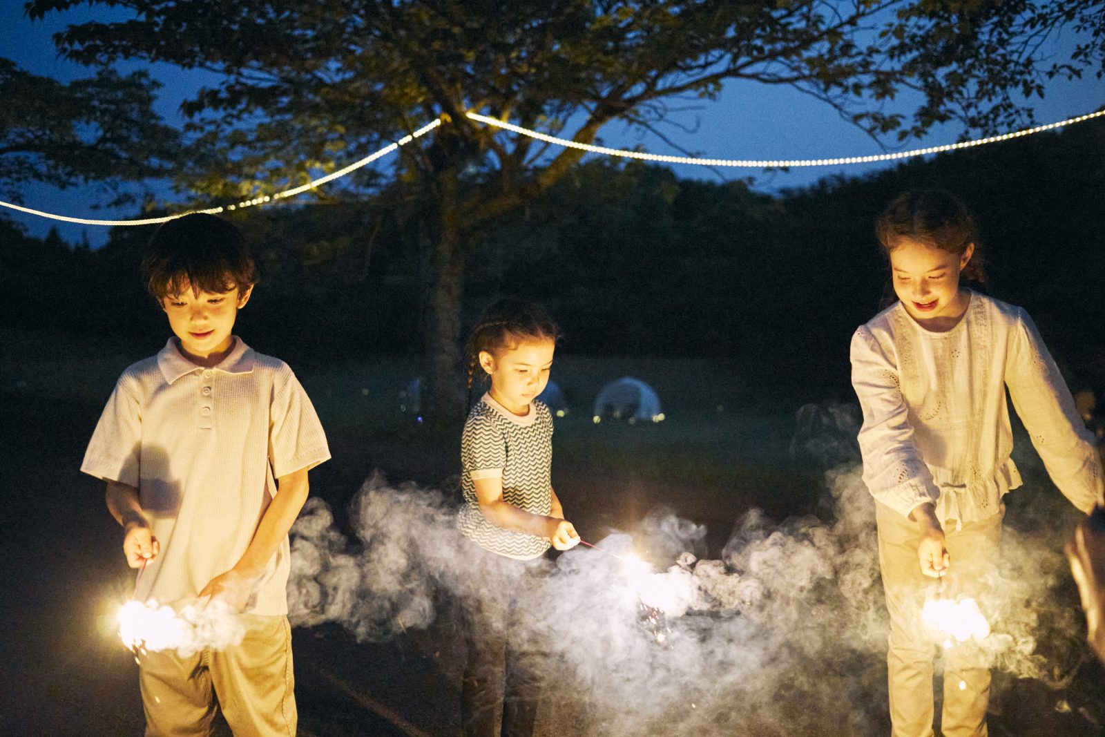 夏の自由研究と夜の思い出をおみやげに